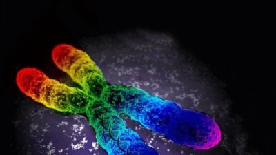 Todo mundo tem o gene GAY? Via Fatos Desconhecidos